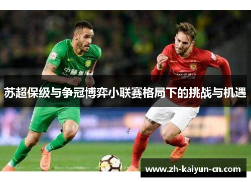 苏超保级与争冠博弈小联赛格局下的挑战与机遇