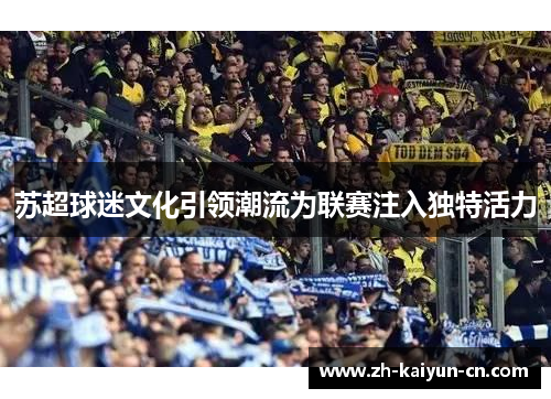 苏超球迷文化引领潮流为联赛注入独特活力